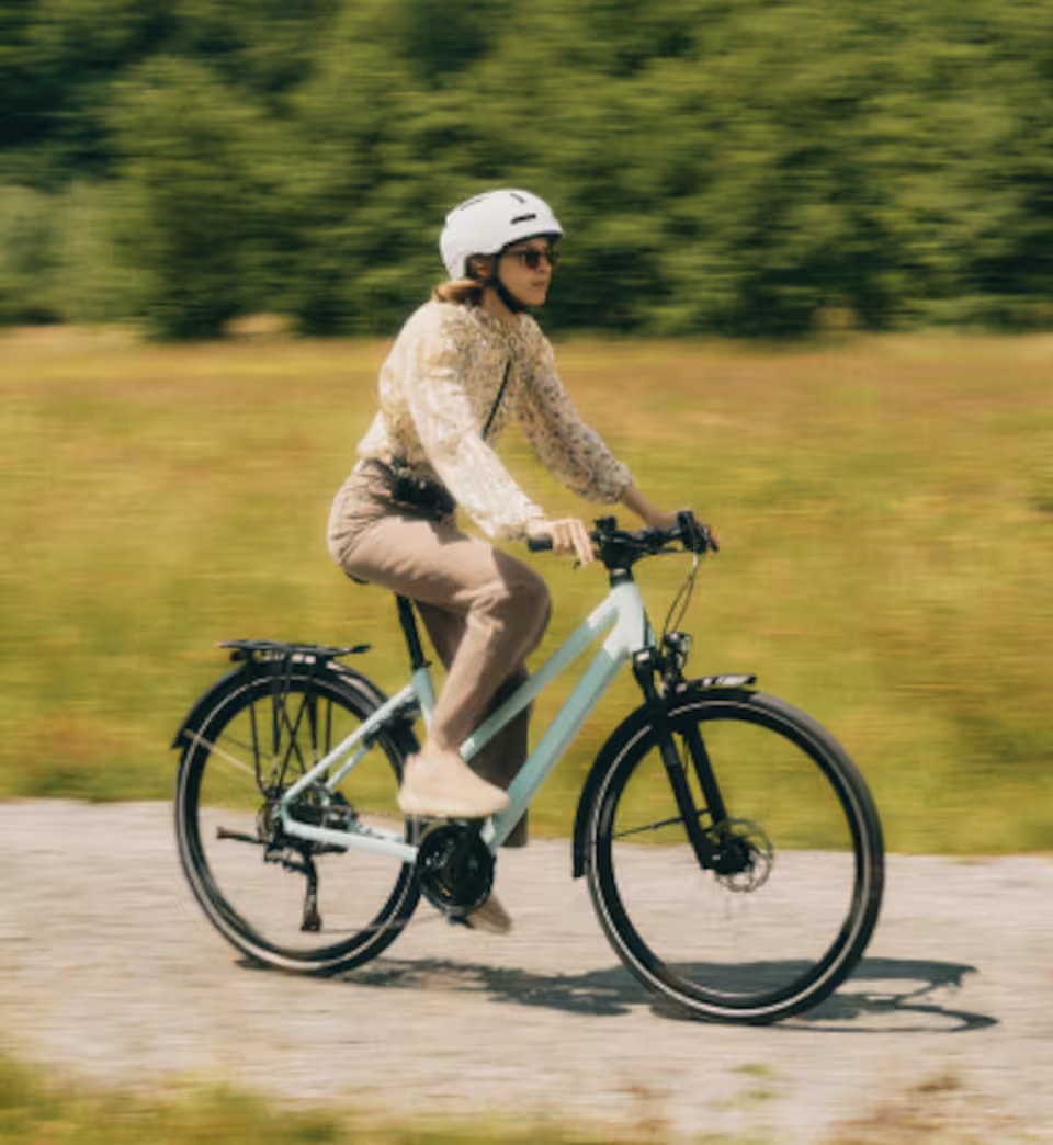 trek bike
